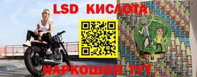 прущие грибы Будённовск