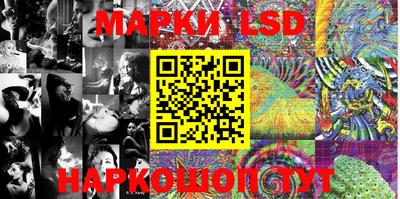 прущие грибы Будённовск