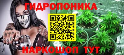 прущие грибы Будённовск