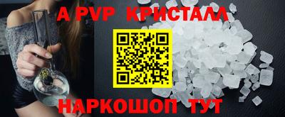 прущие грибы Будённовск