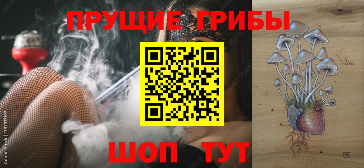 Старая Купавна  Псилоцибиновые грибы прущие грибы  Вход с VPN 
